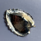 Silver Heart Shell pendant