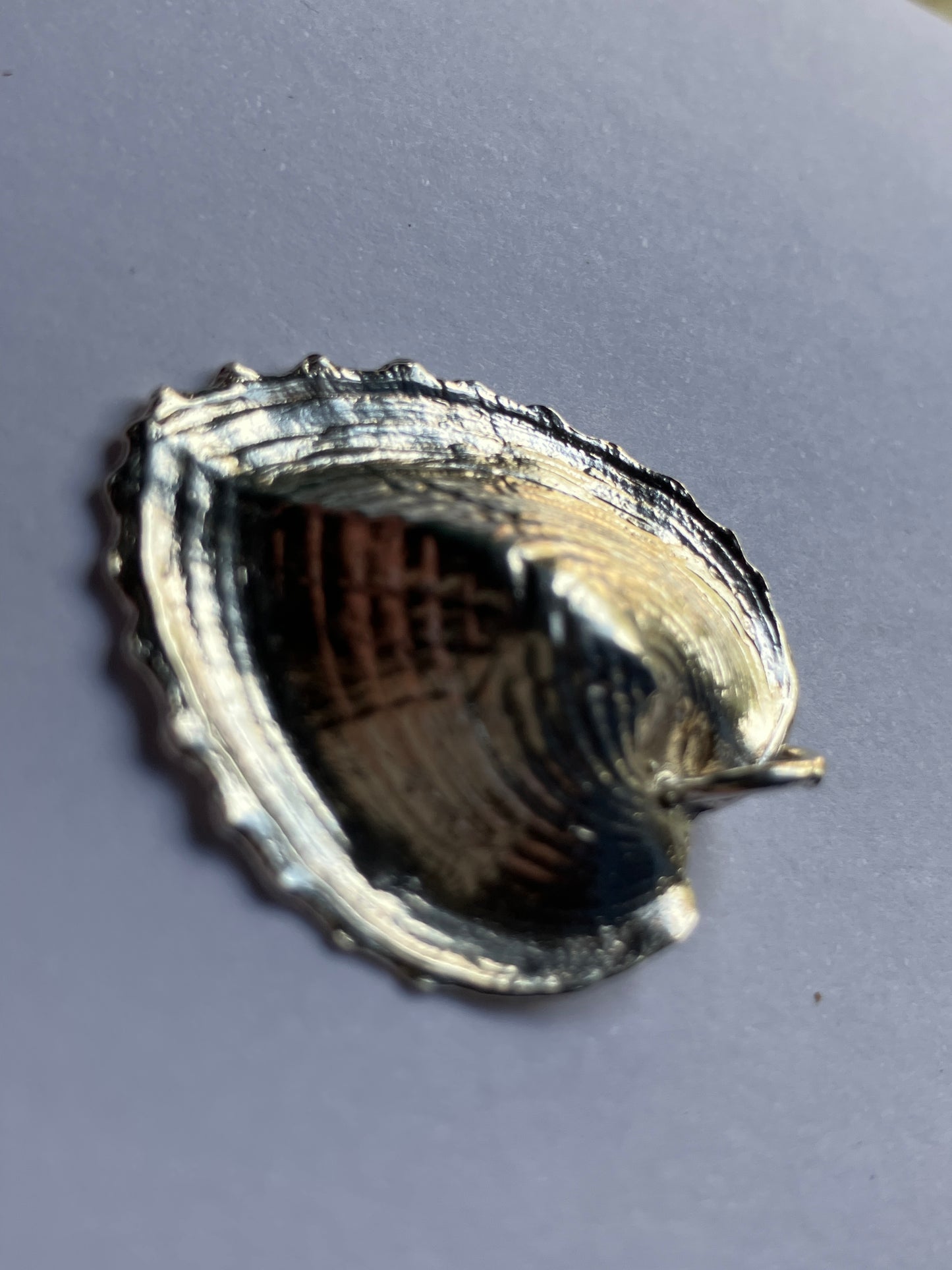 Silver Heart Shell pendant