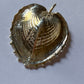 Silver Heart Shell pendant
