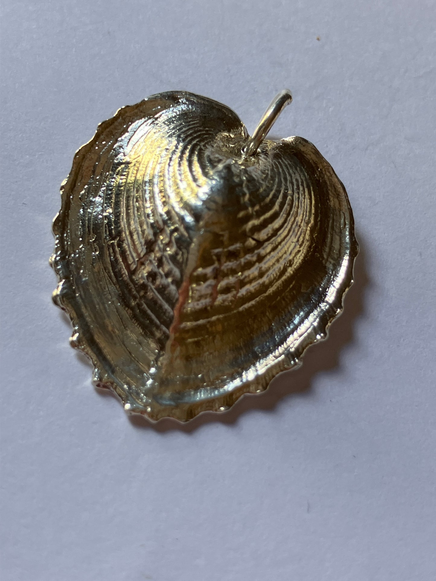 Silver Heart Shell pendant