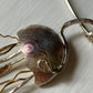Jellyfish on Collar