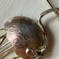Jellyfish on Collar