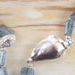 Silver Shell and Blue stone necklace